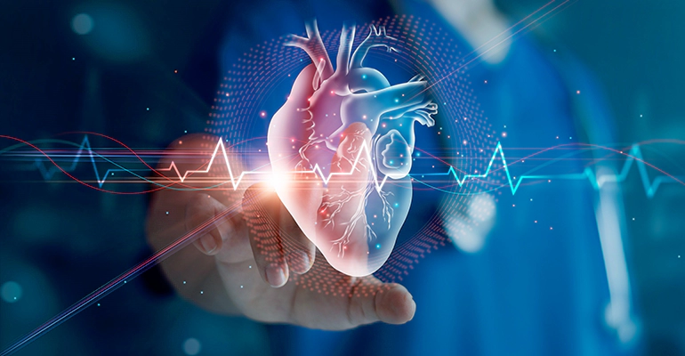 Heart specialist in katol