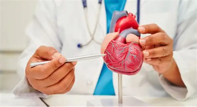 Heart specialists in katni